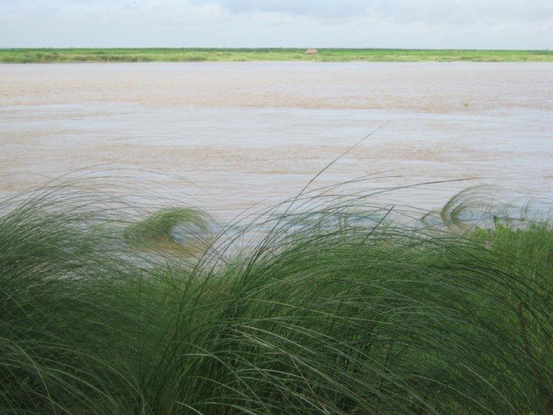 টঙ্গীবাড়ীতে মসজিদ ও স্কুল সহ ২০ বসতবাড়ি পদ্মায় বিলীন