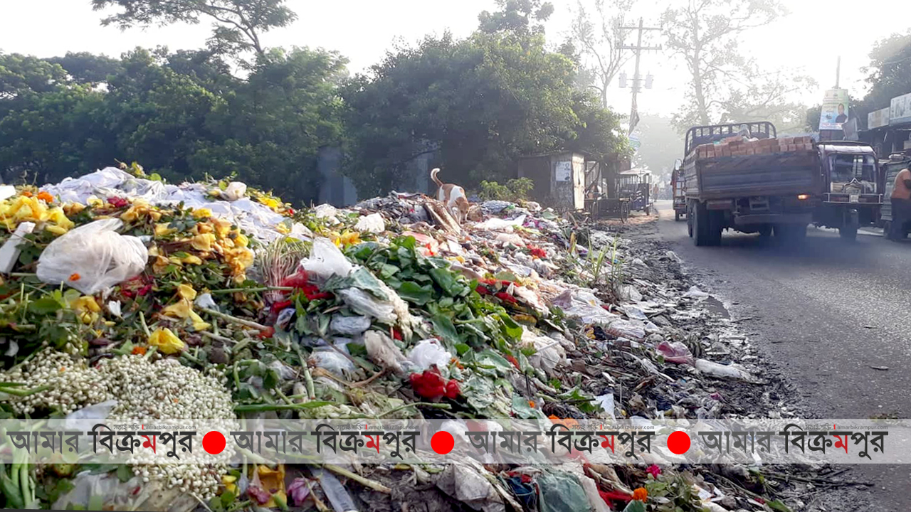 সিপাহীপাড়ায় সড়কের পাশে ময়লার ভাগাড়, ছড়াচ্ছে দুর্গন্ধ