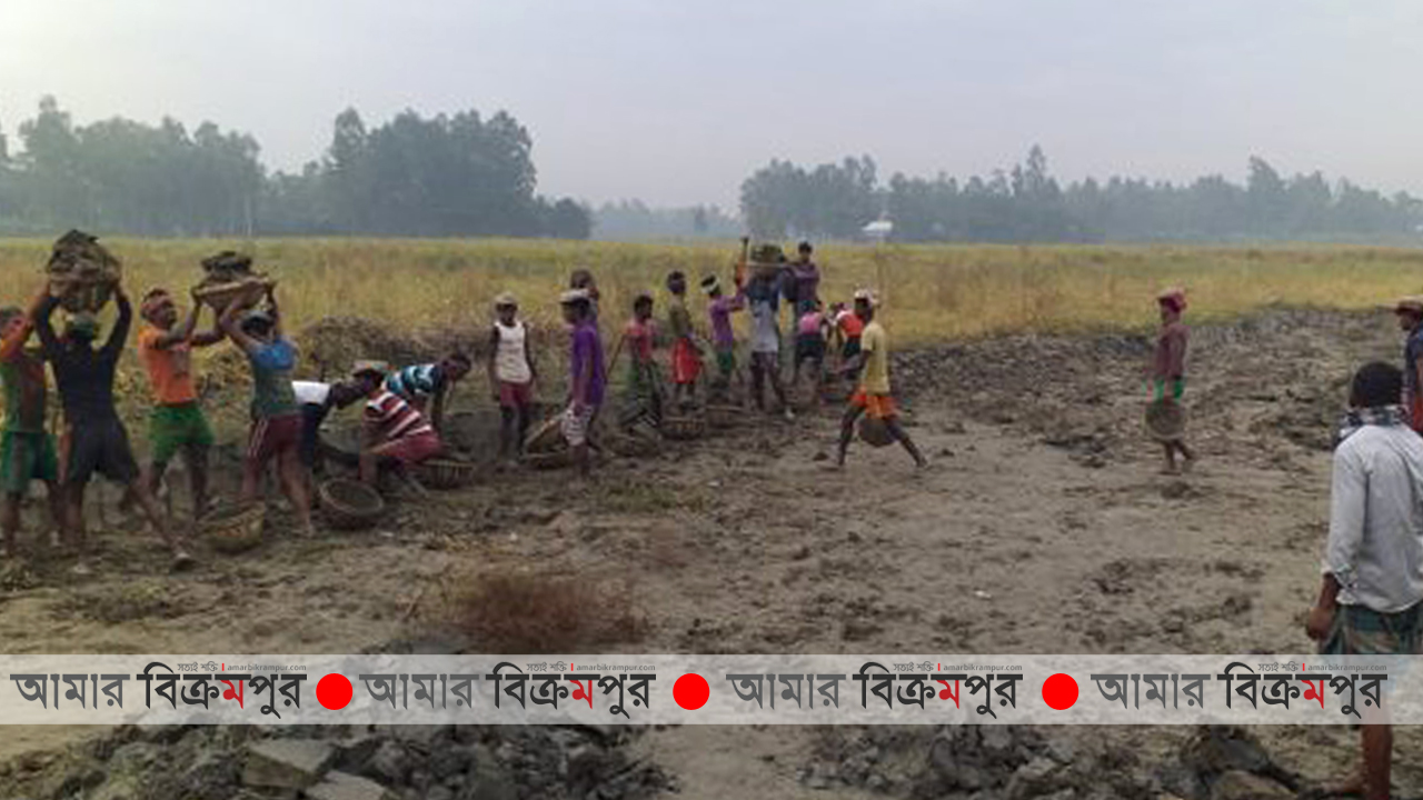 টংগিবাড়ীতে সরকারী জমির মাটি ইট ভাটায় বিক্রির ধূম