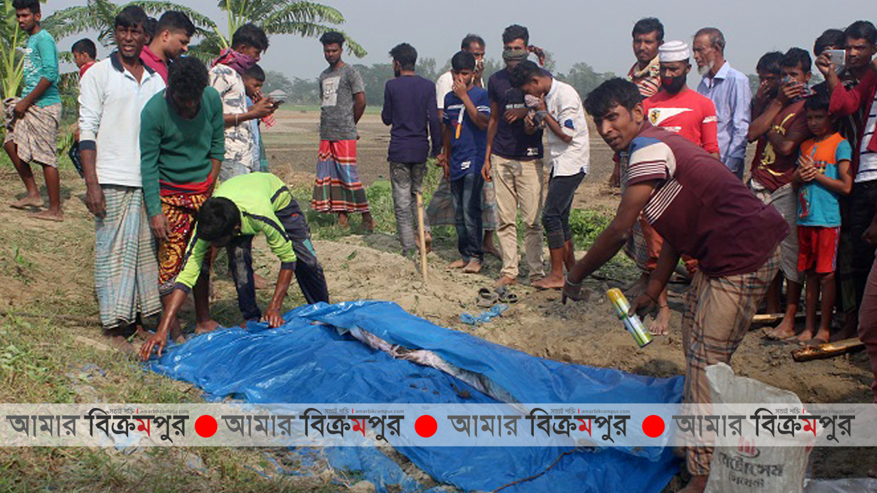 মুন্সিগঞ্জে পরকীয়া সন্দেহে মৃত্যুর ১০ মাস পর যুবকের লাশ উত্তোলন