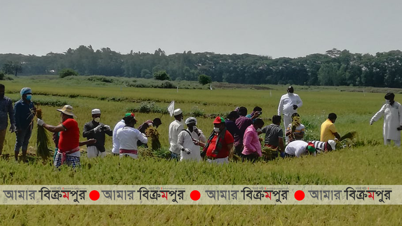 আড়িয়াল বিলের কৃষকের পাশে কেন্দ্রীয় স্বেচ্ছাসেবক লীগ