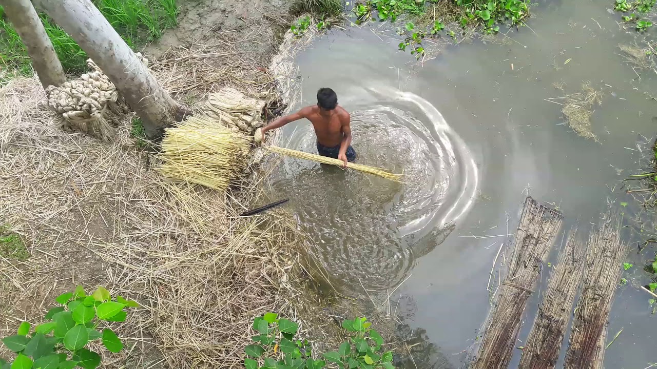 রপ্তানি বাণিজ্যে চামড়াকে ছাড়িয়ে দ্বিতীয় স্থান দখল করে নিল পাট