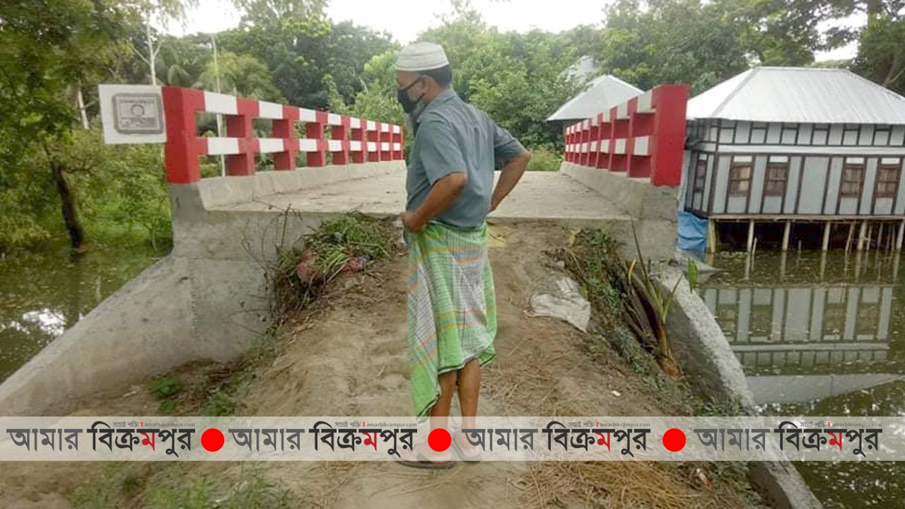 চরডুমুরিয়ায় ব্রীজ আছে, রাস্তা নাই