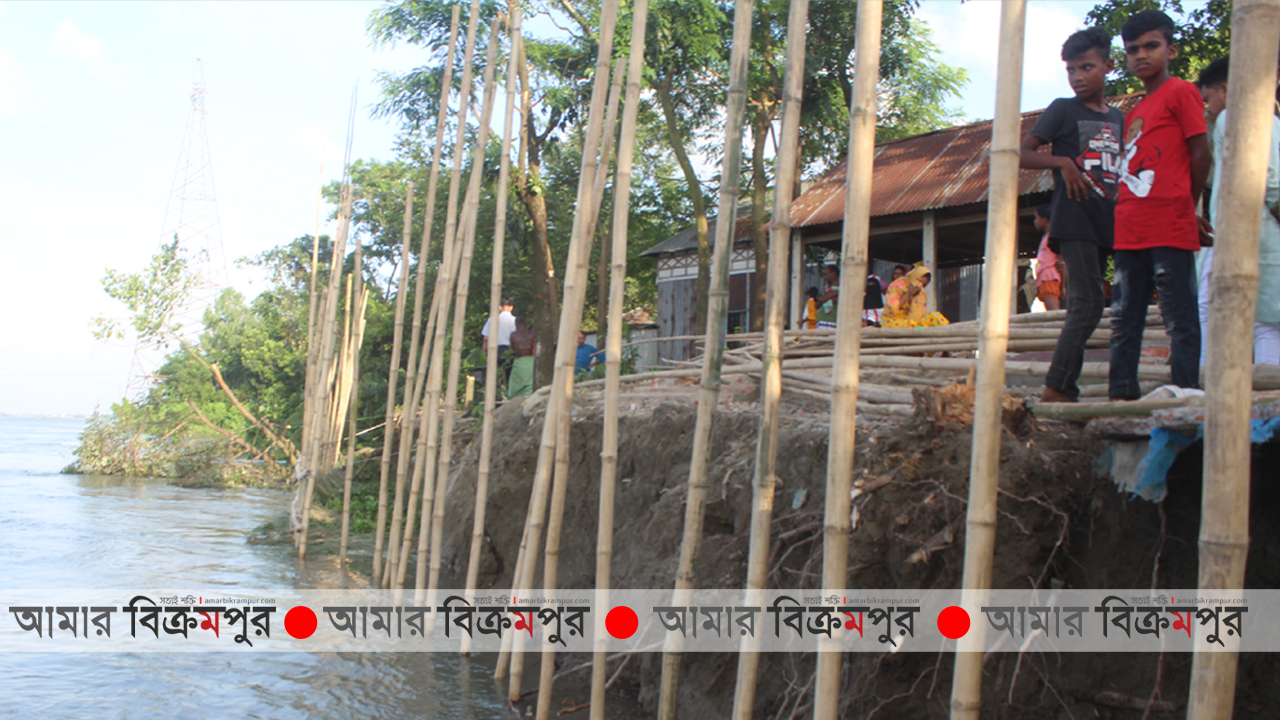 সিরাজদিখানে বন্যার পানিতে ১০টি বসতবাড়ি নদীতে বিলীন