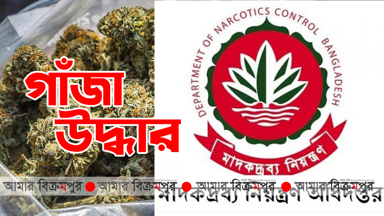 মুন্সিগঞ্জে খাটের নীচে পাওয়া গেলো লক্ষ টাকার গাঁজা