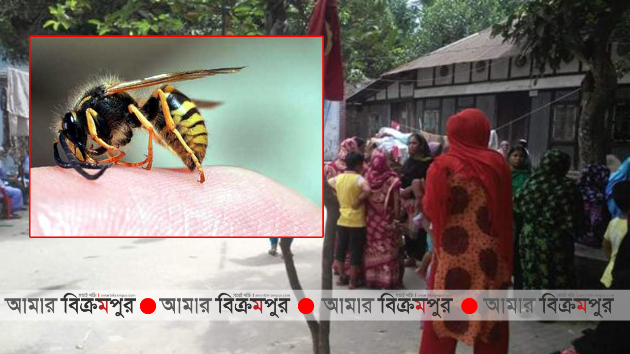 মুন্সিগঞ্জে ভিমরুলের কামড়ে শিশুর মৃত্যু