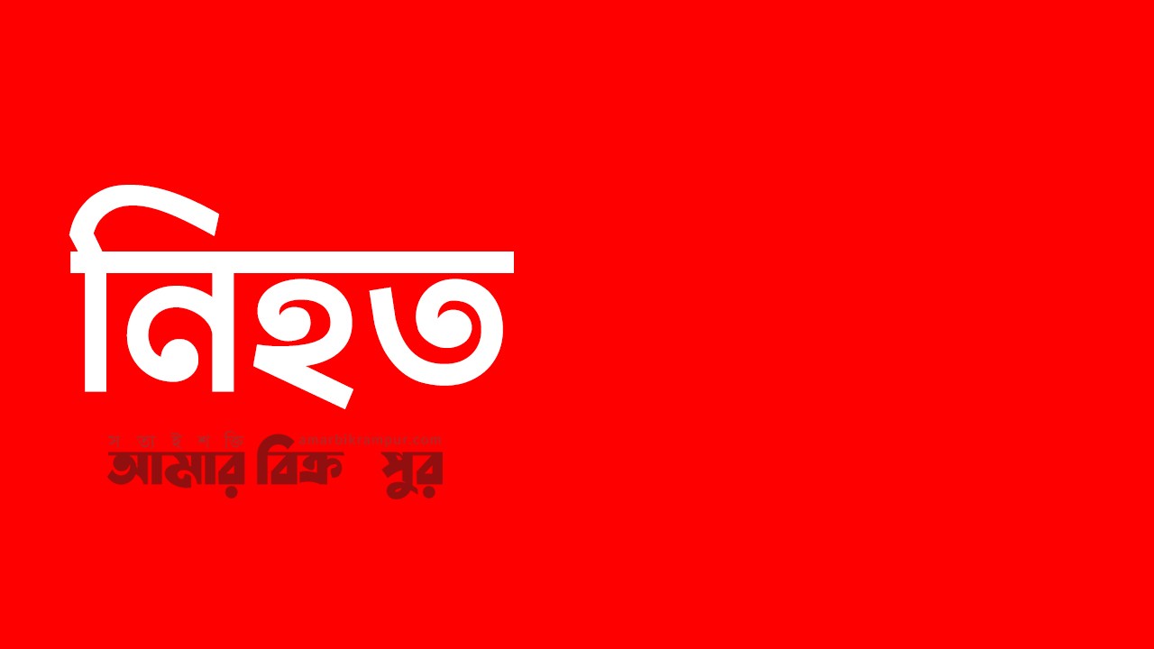 মুন্সিগঞ্জে সিএনজি ও পিকআপ ভ্যানের সংঘর্ষে নিহত ১