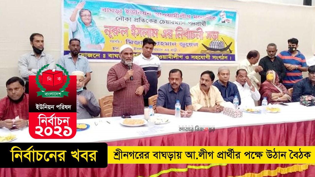 শ্রীনগরের বাঘড়ায় আ.লীগ প্রার্থীর পক্ষে উঠান বৈঠক