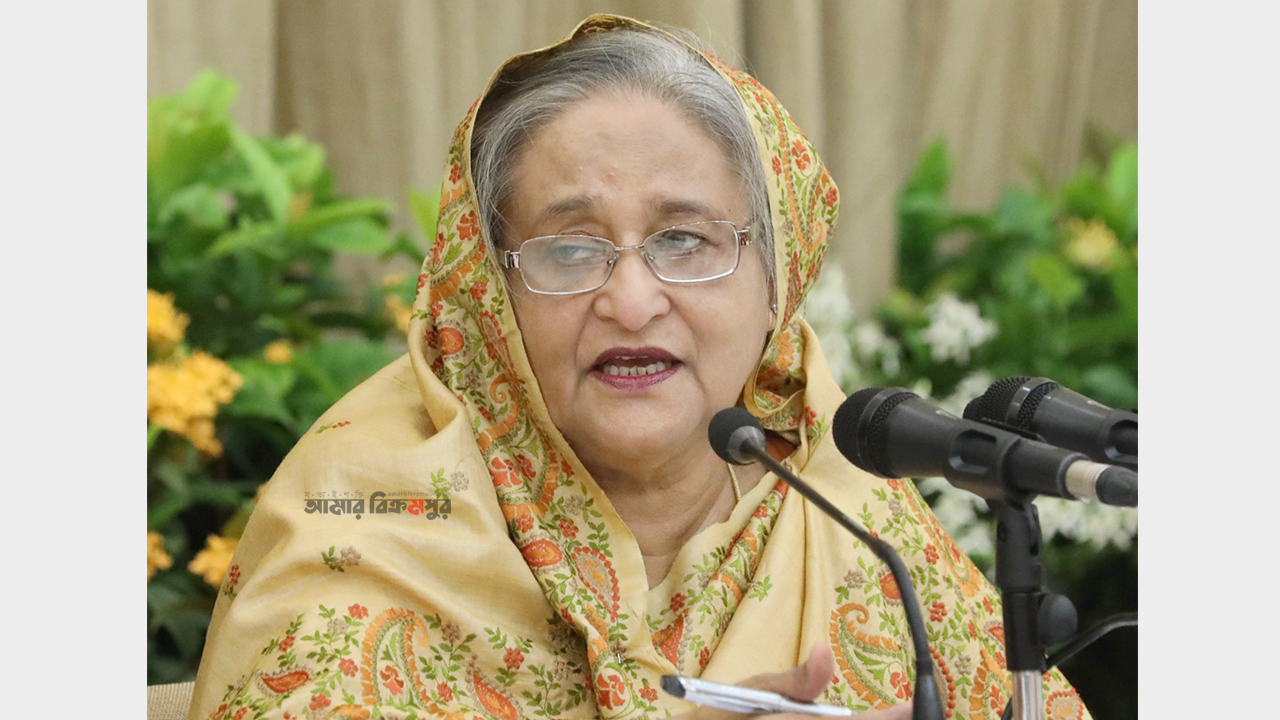 আমার পিতা বঙ্গবন্ধুর আদর্শ বাস্তবায়নে কাজ করে যাচ্ছি : শেখ হাসিনা