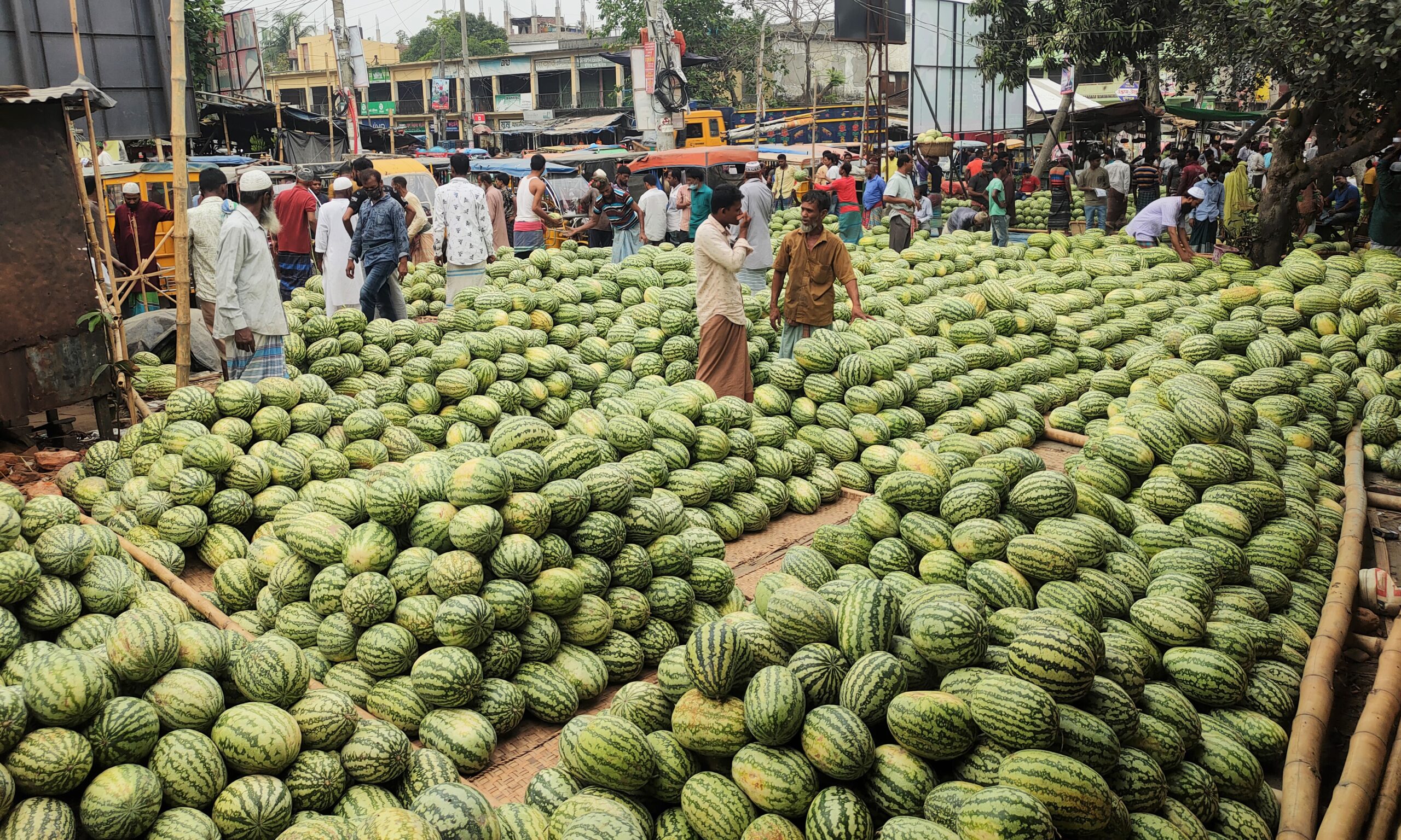 মুন্সিগঞ্জে অর্ধ কোটি টাকার তরমুজের হাট
