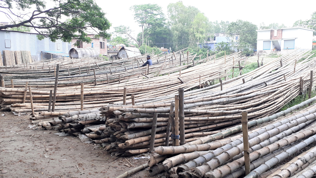 লোকসানের মুখে মুন্সিরহাটের বাঁশ ব্যবসা