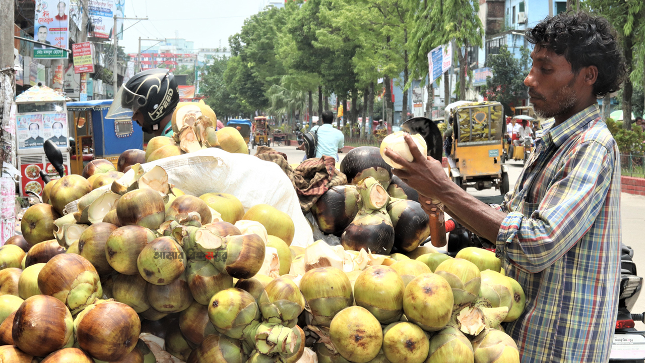 মুন্সিগঞ্জে তালের চাহিদা কমেছে