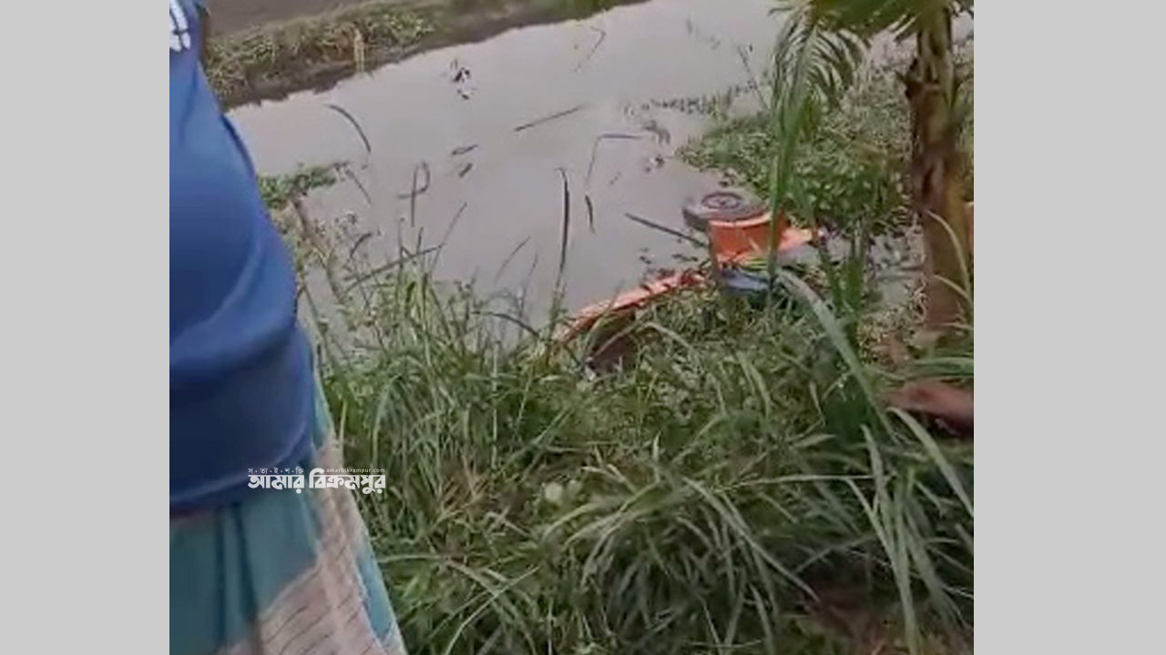 মুন্সিগঞ্জে ইটভাঙ্গার গাড়ি খাদে পড়ে দুইজন নিহত