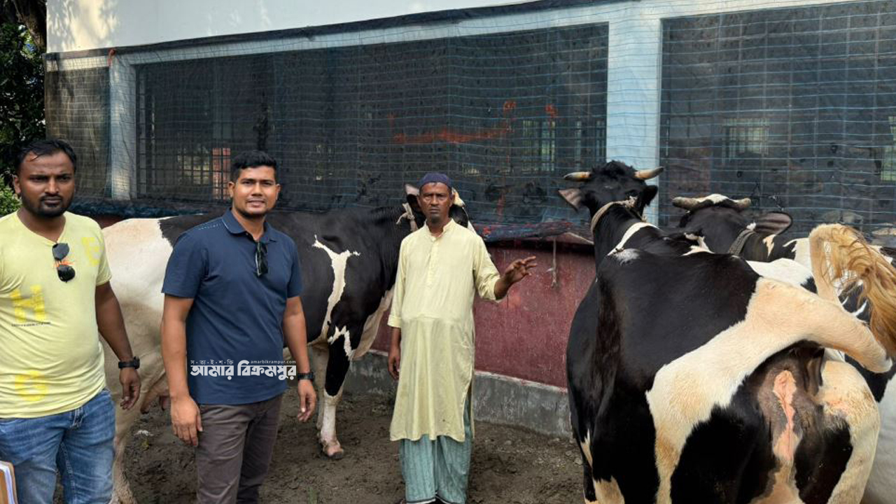 মুন্সিগঞ্জে ফার্ম থেকে ডাকাতি হওয়া গরু পাওয়া গেল নারায়ণগঞ্জে