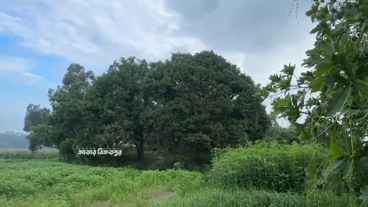 মুন্সিগঞ্জে জঙ্গল থেকে শিশু শিক্ষার্থীর হাত-পা বাঁধা মরদেহ উদ্ধার
